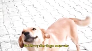 Just look at that smile