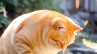 Cat and happy