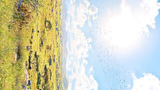 #4K #HDR