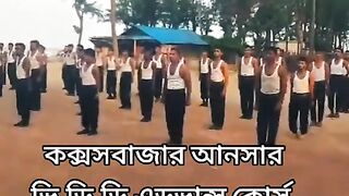 আনসার ভিডিপি