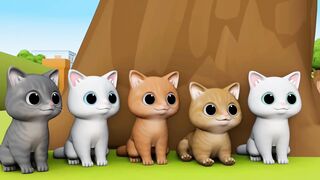 Cat story 3