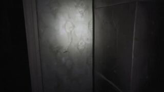 what happened in the old house