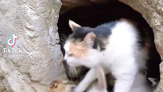 motherhood 2