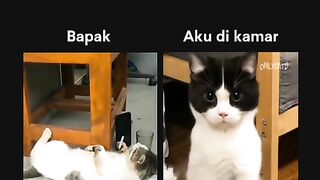 Lagi santuy kawan