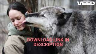 Watch wolf one girl viral video one girl one wolf two wolf one girl viral video