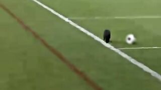 black cat football