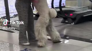 video47