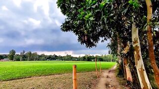 তুমি বৃষ্টি হয়ে নামলে