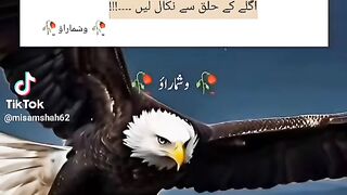Online earning video 16