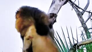 see this video 2