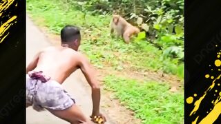 Satu manusia, satu monyet, satu takdir! ????