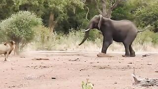 see this video 3