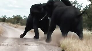 famous video 2