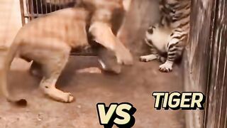 see this video 5