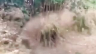 see this  video