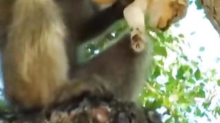 see this video 6