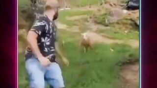 Niat mau nyeruduk malah jadi bahan mainan????????????