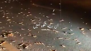 Poetry lovers ❤️ 3