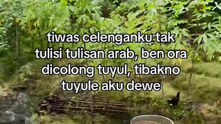 tuyule aku dewe bolo