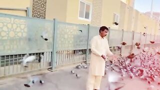 Makkah madina 3