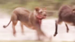 famous video 5