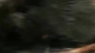 video 2025