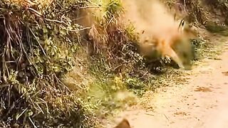 video 2025 3
