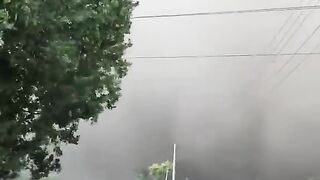 funny Video golpri 5