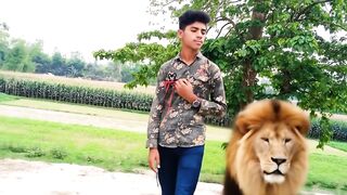 Dangerous lion ????