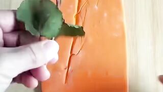 funny video 673