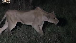 Animal Documerty in hindi language