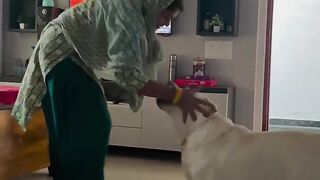 Funny Dog with Mom