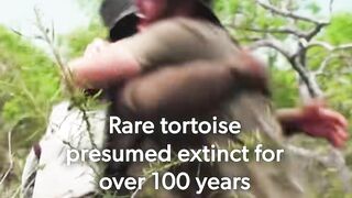 Extinct Since 1906: The Fernandina Galápagos Tortoise is Alive! Fernanda's Rediscovery