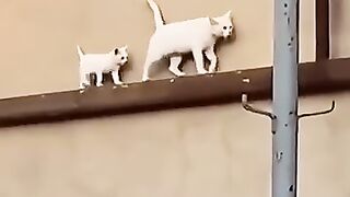 mama always looking back to check the babay