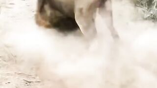 video2025 3