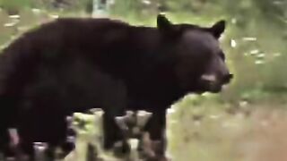 video2025 5