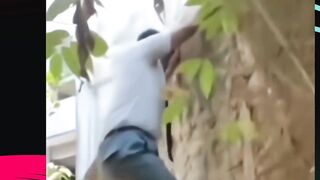 tawaviral 3
