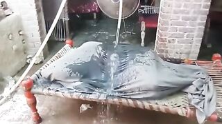 funny Video golpri 6