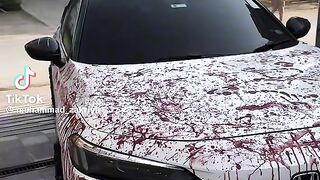 Car lovers 5