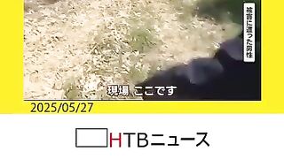 タダと言われたクレーンで大胆に車をロシア国籍の男逮捕　見つかると100万円で譲ってと謎の言動