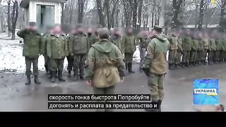 КОЛАРОБОЦИОНИСТИТЕ  ДЪЛГО НЕ ЖИВЕЯТ