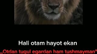 Otam uchun