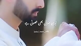 Pakistani drama 91