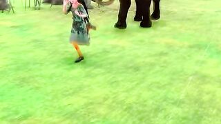 nice video 28