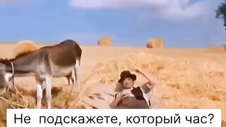 Сколько времени не подскажете