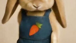 Это вам зайчик принёс цветы