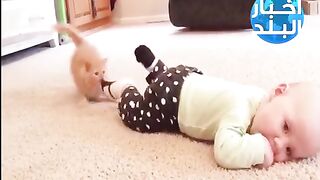 Прикольные ????????