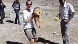 Funny Animal Pair
