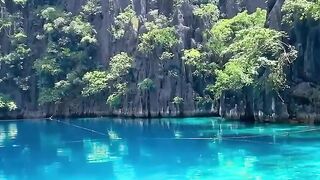 Paradise 9