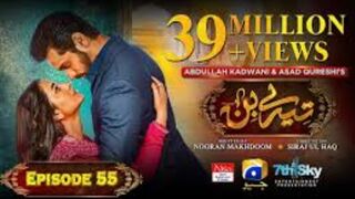 Tere Bin Pakistani drama Episode 55 | Wahaj Ali | Yumna Zaidi |